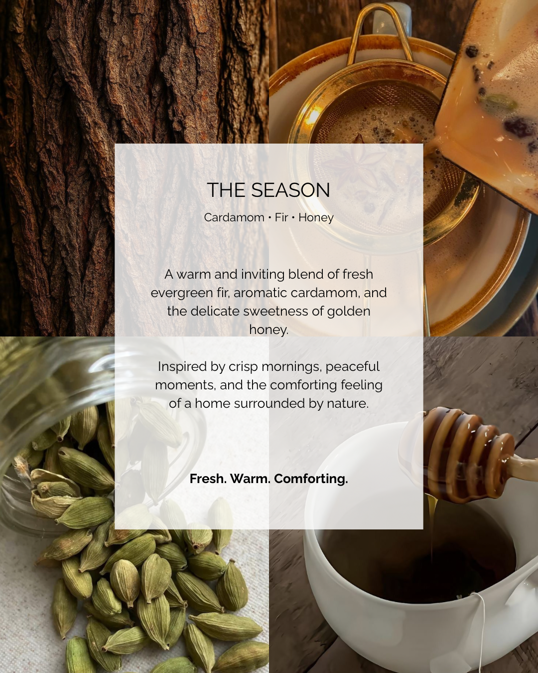 THE SEASON | 8 oz